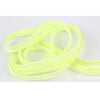 Creative LED Fluorescent Shoelaces