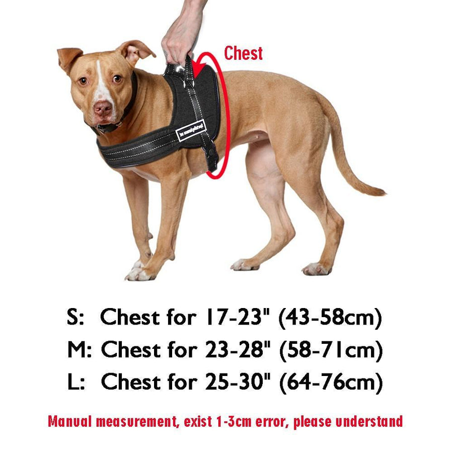 NEW All-In-One™ No Pull Dog Harness